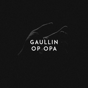 胖乎乎的中国老太
